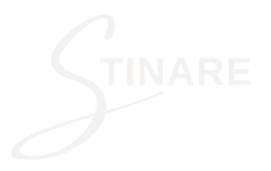 cropped stinare suur logo valge.png